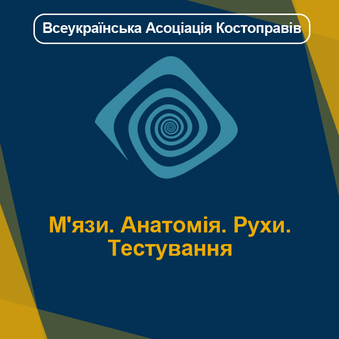 М'язи. Анатомія. Рухи. Тестування